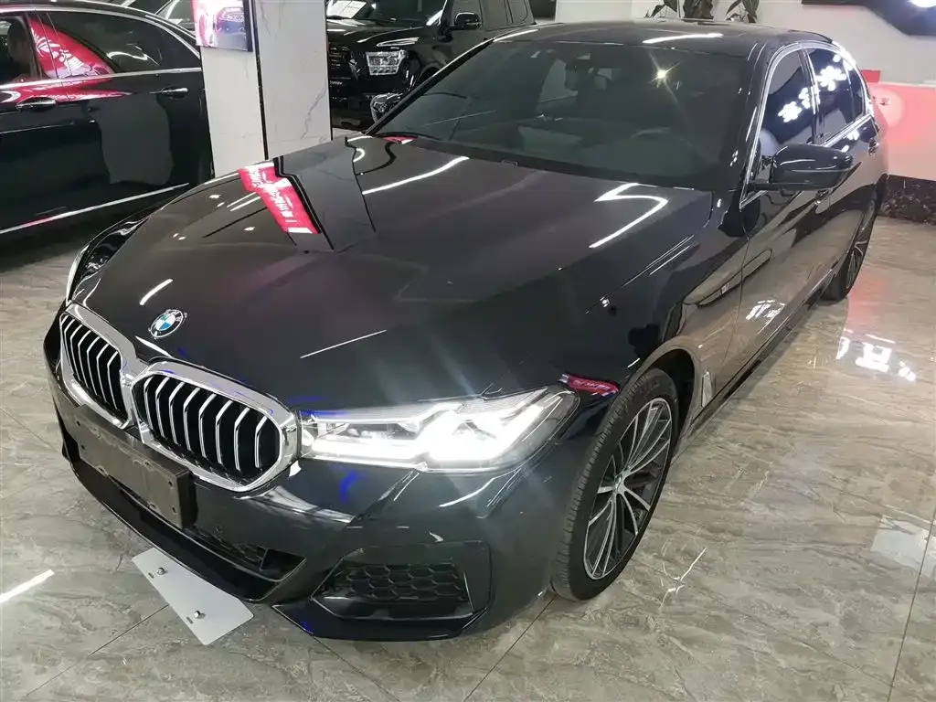 BMW 5 Series 2023 из CN, фото 7