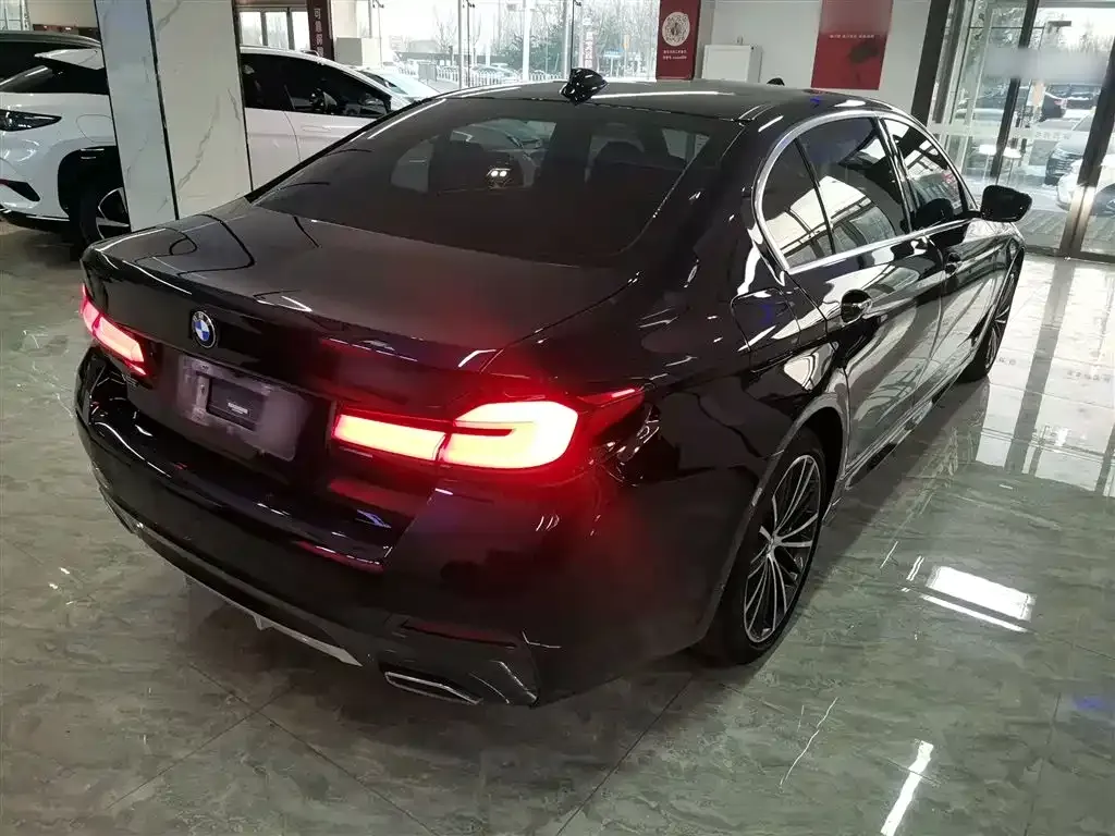 BMW 5 Series 2023 из CN, фото 8