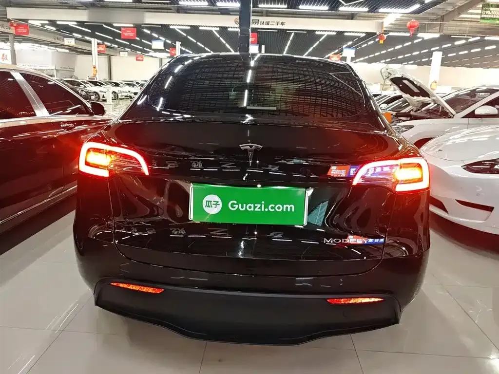 Tesla Model Y — фото 10