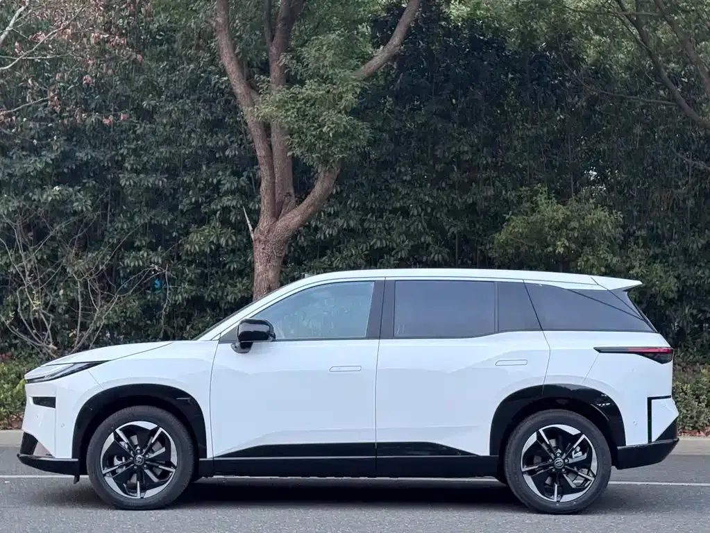 Toyota Platinum 3X 2025 из CN, фото 2