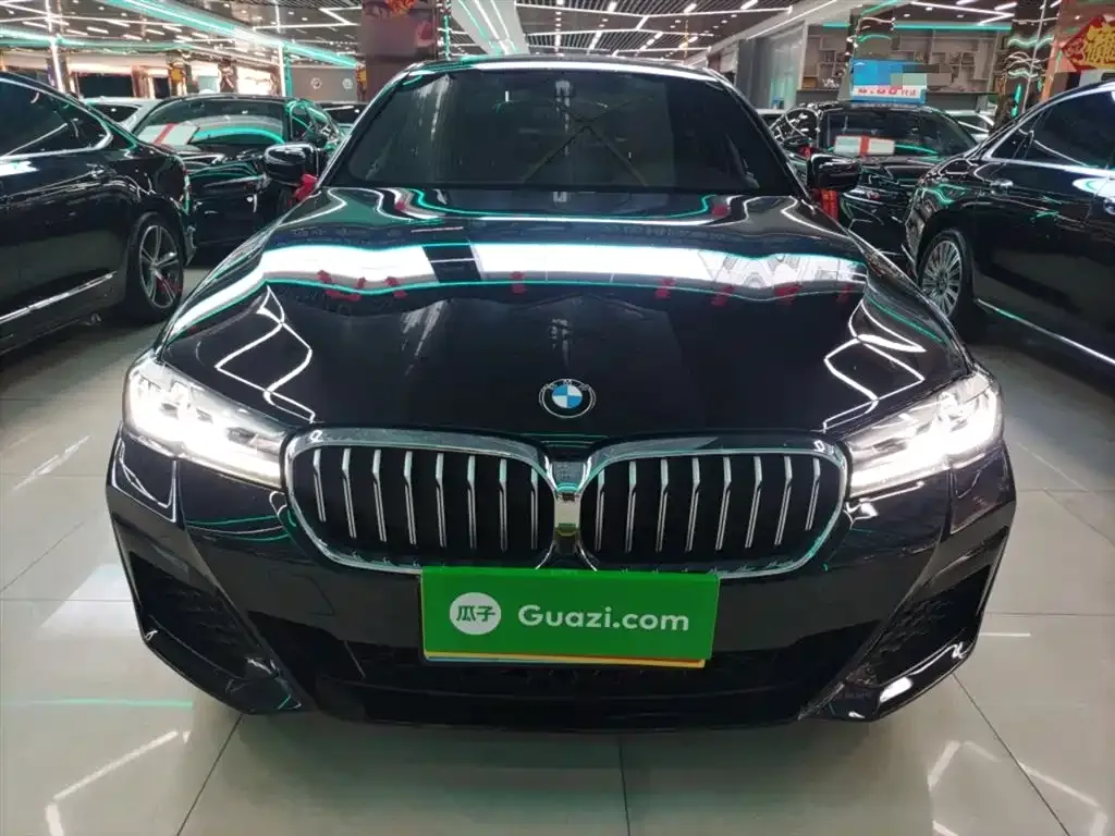 BMW 5 Series 2022 из CN, фото 5