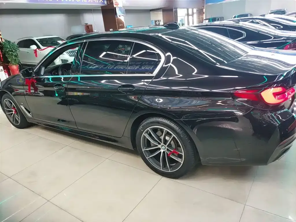 BMW 5 Series 2022 из CN, фото 9