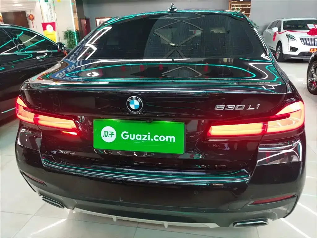 BMW 5 Series 2022 из CN, фото 10