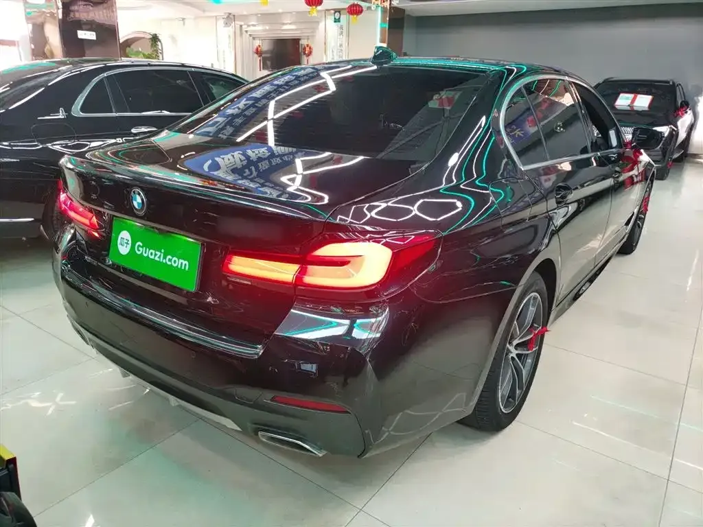 BMW 5 Series 2022 из CN, фото 7