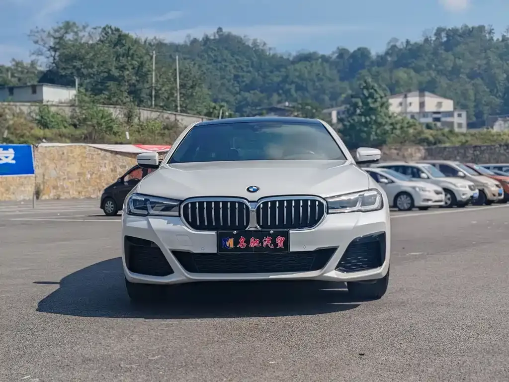 BMW 5 Series 2023 из CN, фото 1
