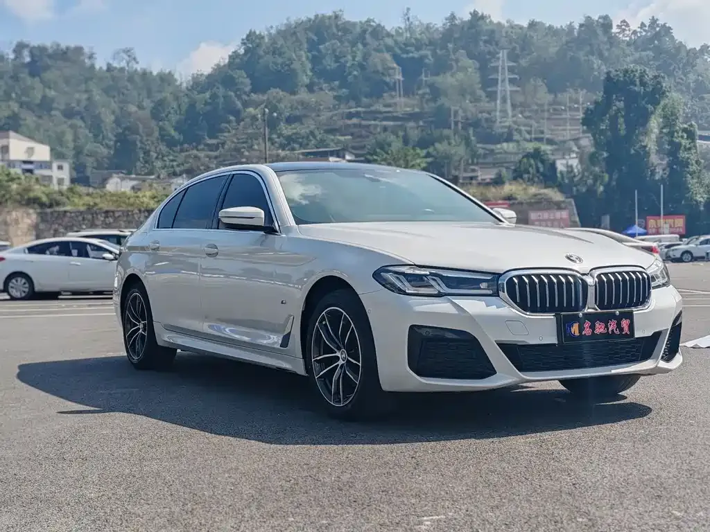 BMW 5 Series 2023 из CN, фото 10