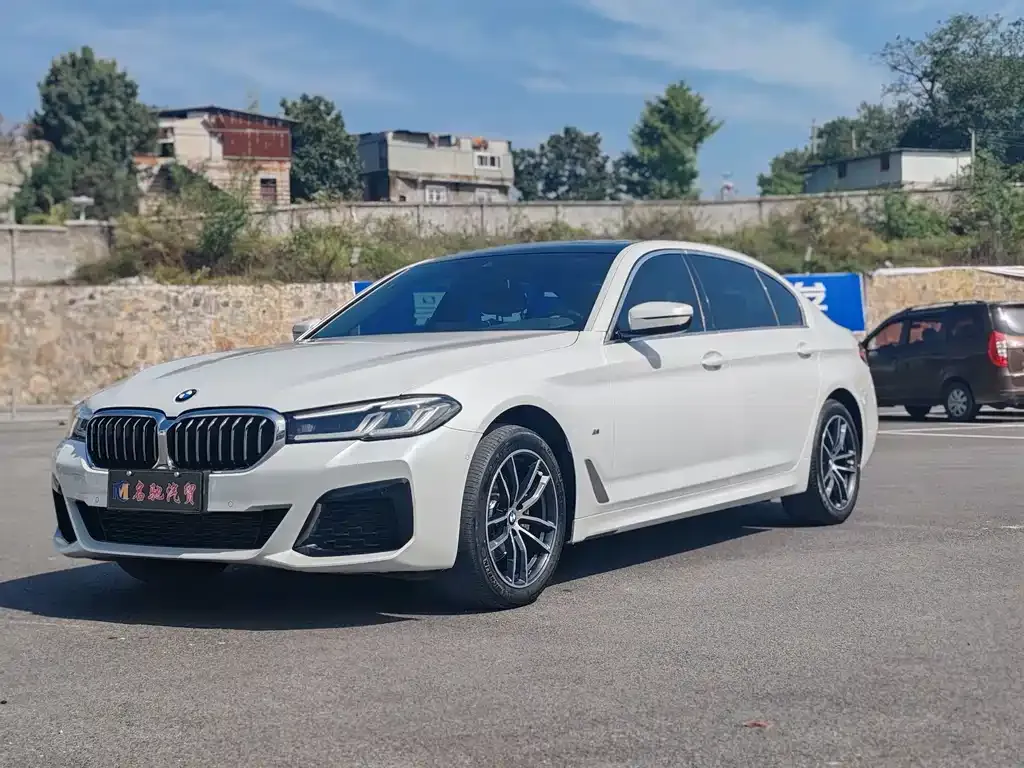 BMW 5 Series 2023 из CN, фото 6
