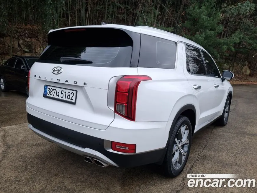 Hyundai Palisade — фото 7