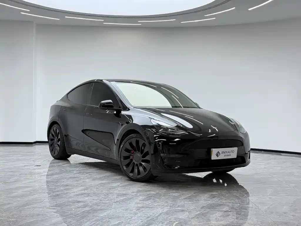 Tesla Model Y — фото 9