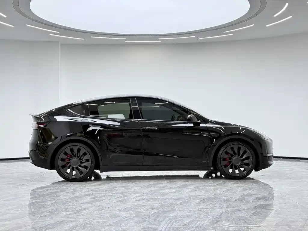 Tesla Model Y — фото 10