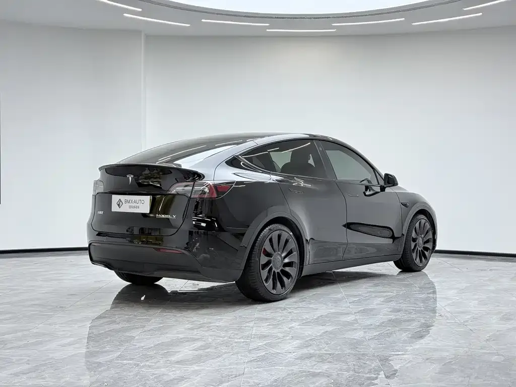 Tesla Model Y — фото 6