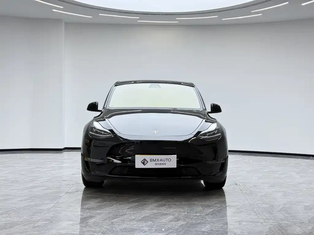 Tesla Model Y — фото 5
