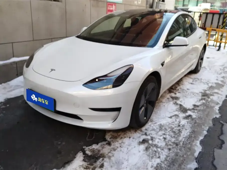 Tesla Model 3 2021 из CN, фото 1