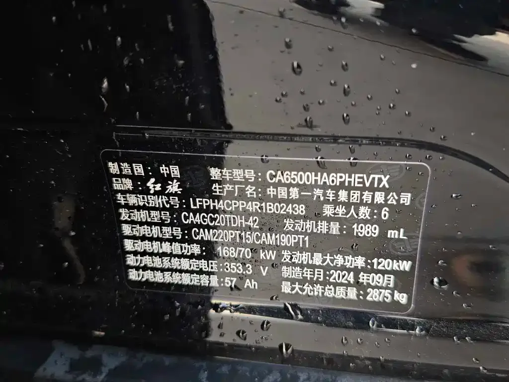 Hongqi HS7 PHEV 2024 из CN, фото 9