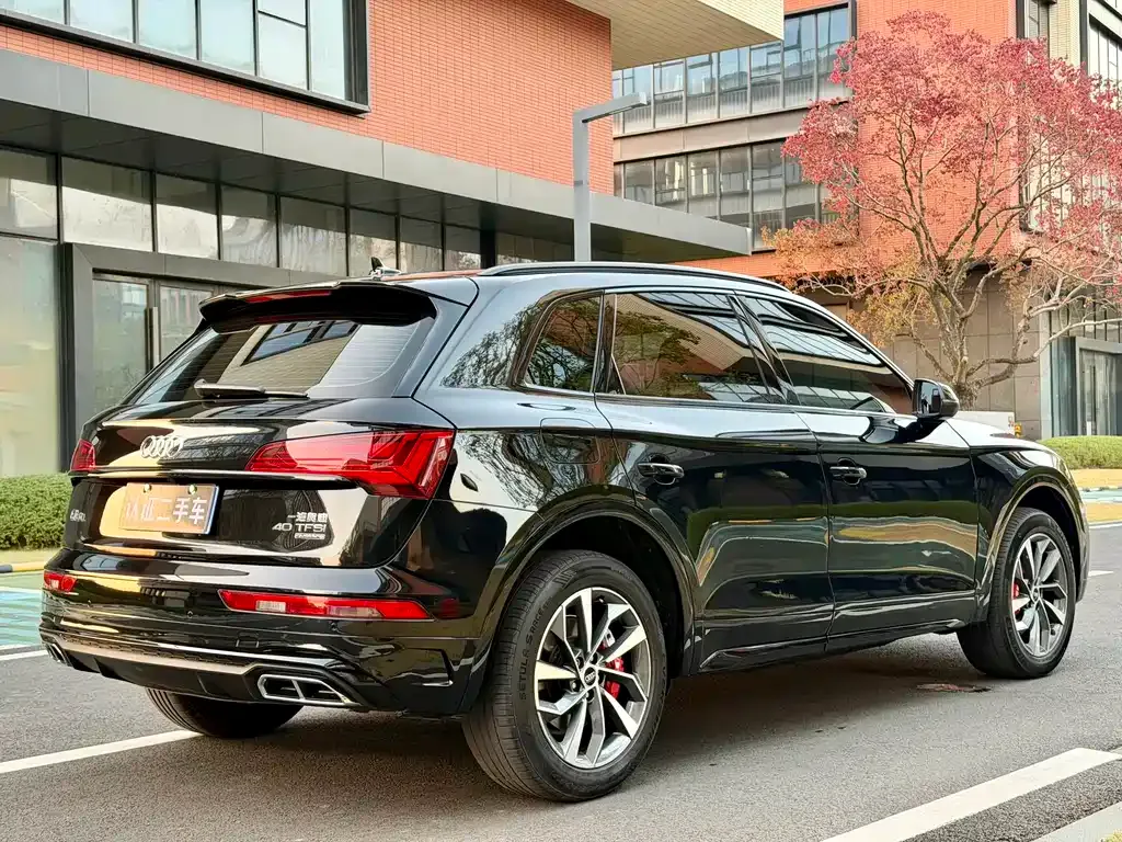 Audi Q5L 2023 из CN, фото 9
