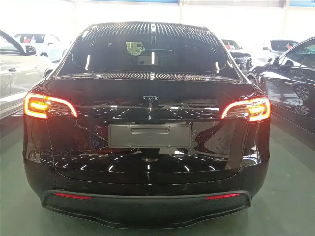 Tesla Model Y 2023 из CN, фото 6