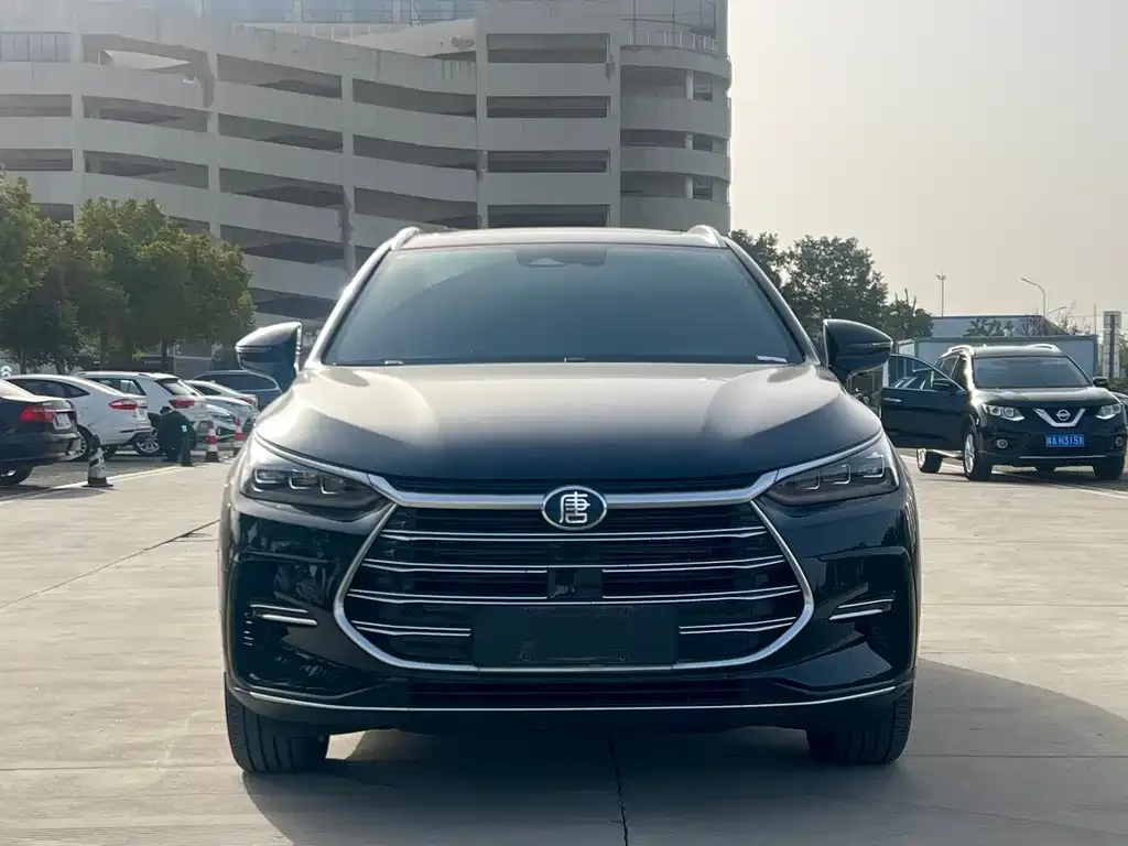 BYD Tang New Energy 2023 из CN, фото 5