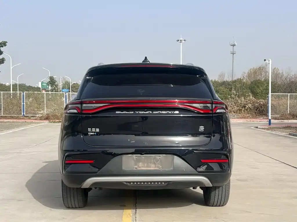 BYD Tang New Energy 2023 из CN, фото 6