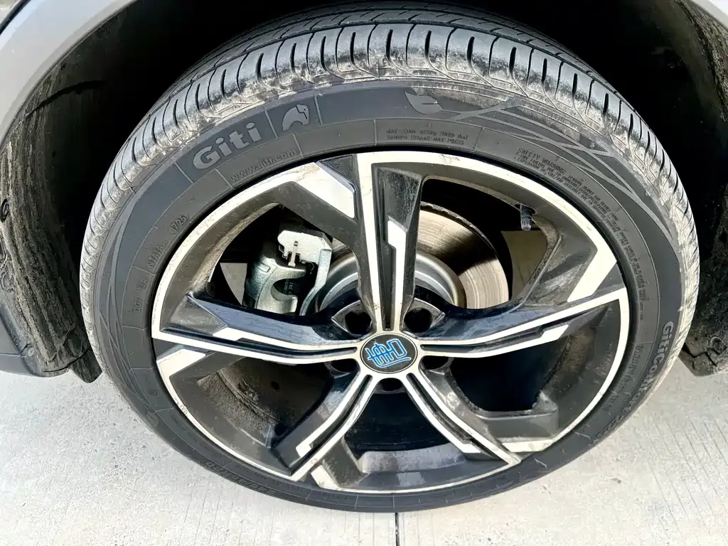 BYD Tang New Energy 2023 из CN, фото 9