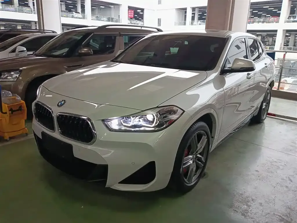 BMW X2 2021 из CN, фото 1