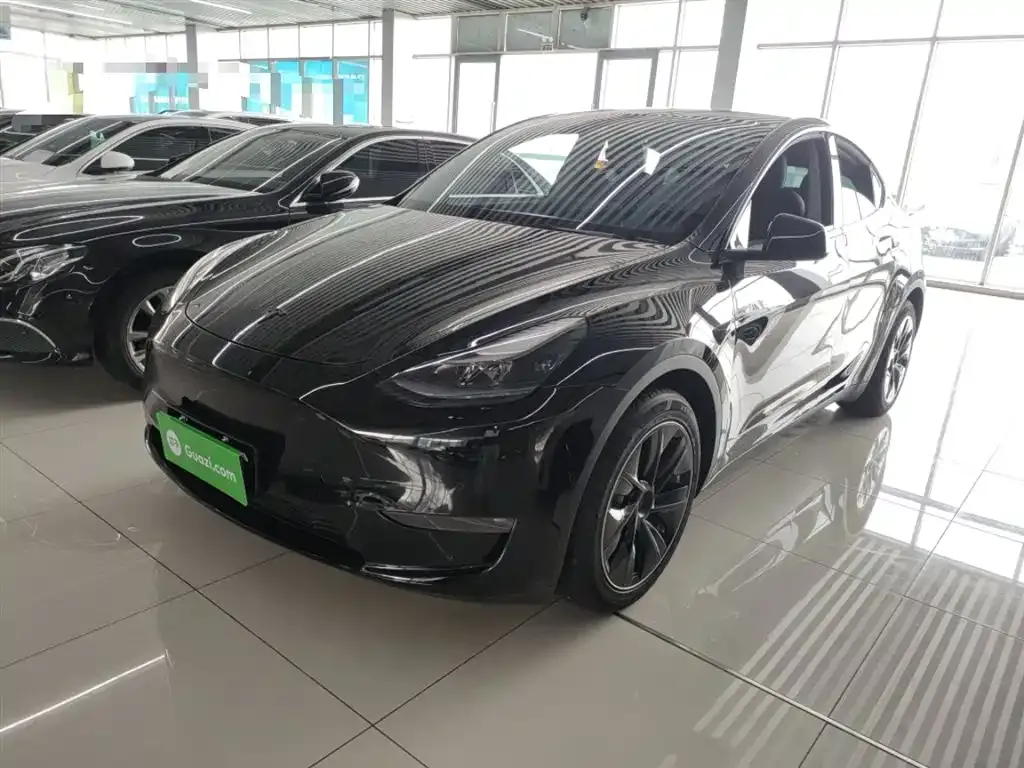 Tesla Model Y 2021 из CN, фото 2