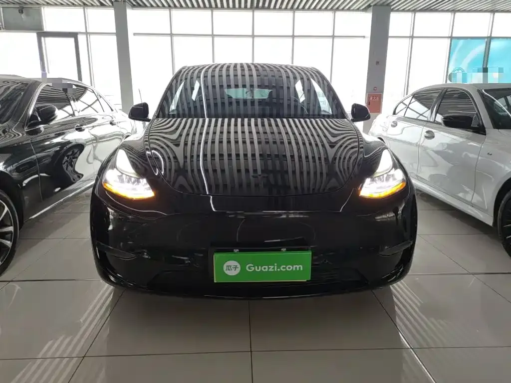Tesla Model Y 2021 из CN, фото 3