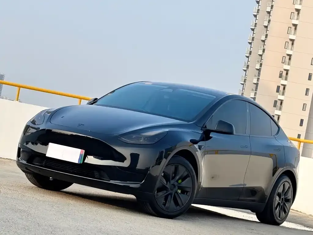 Tesla Model Y 2024 из CN, фото 1