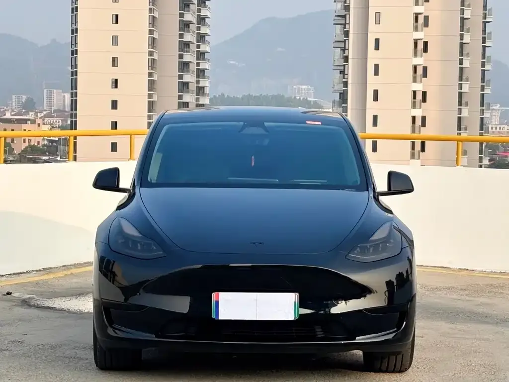 Tesla Model Y 2024 из CN, фото 5