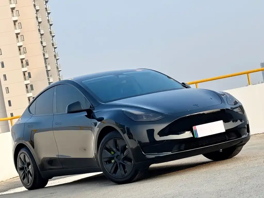 Tesla Model Y 2024 из CN, фото 10
