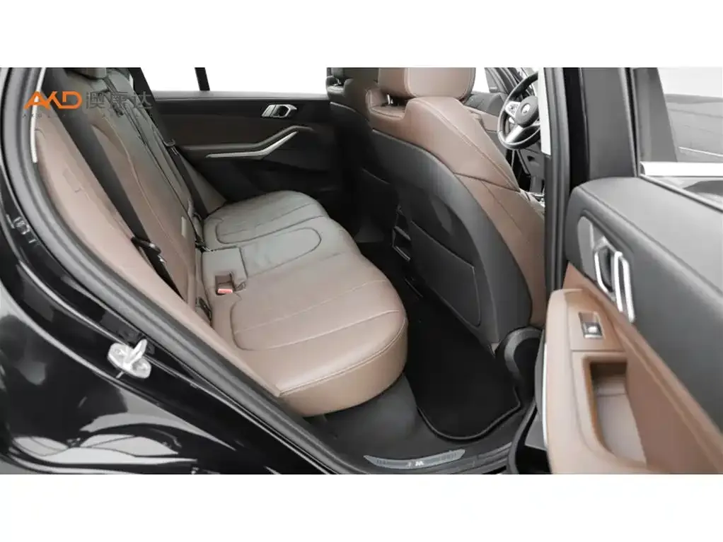BMW X5 (Import) 2021 из CN, фото 7
