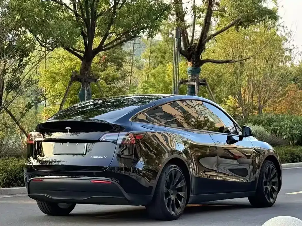 Tesla Model Y — фото 8
