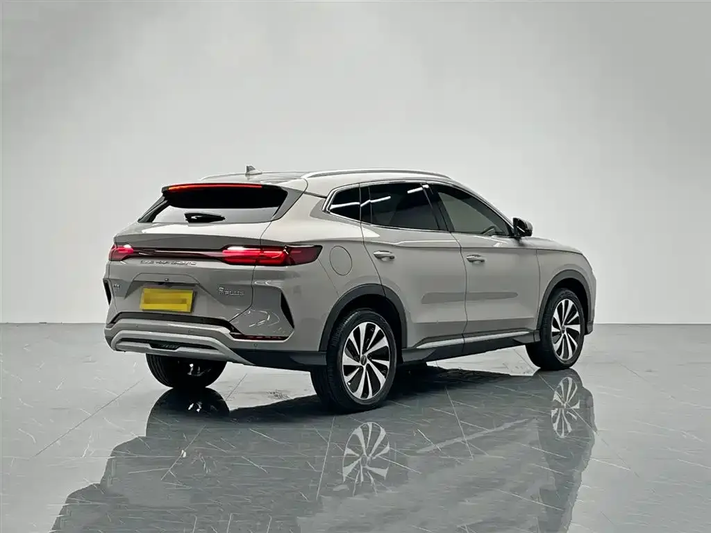 BYD PLUS New Energy — фото 10