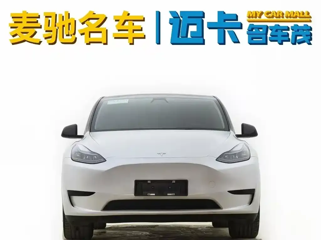 Tesla Model Y — фото 2