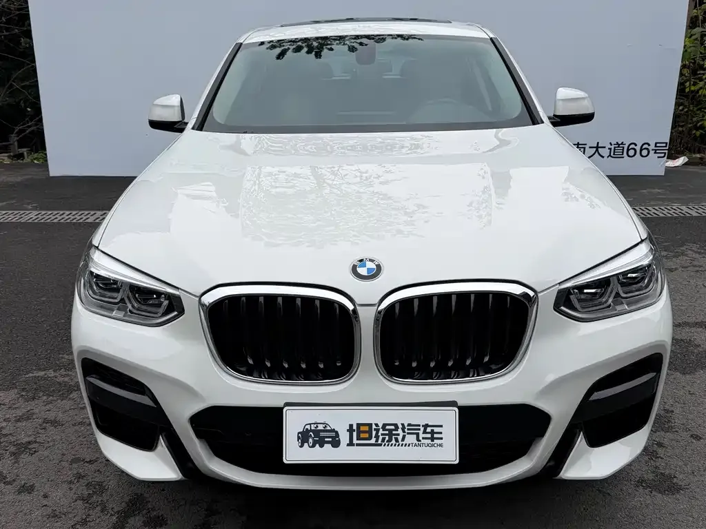 BMW X4 2021 из CN, фото 2