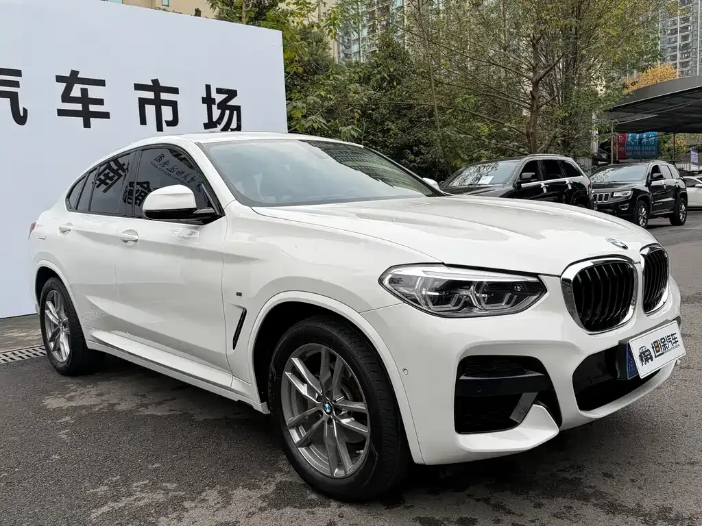 BMW X4 2021 из CN, фото 10