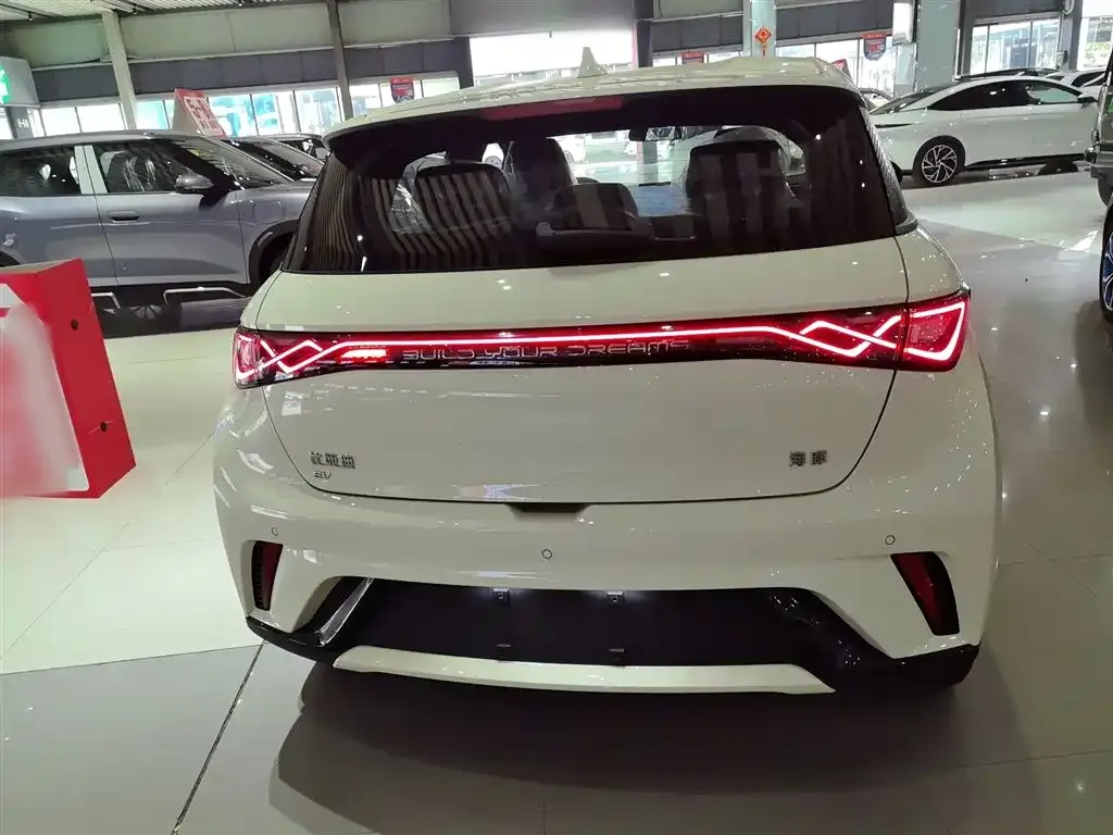 [object Object] Dolphin 2025 из CN, фото 6