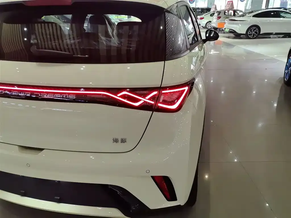 [object Object] Dolphin 2025 из CN, фото 8