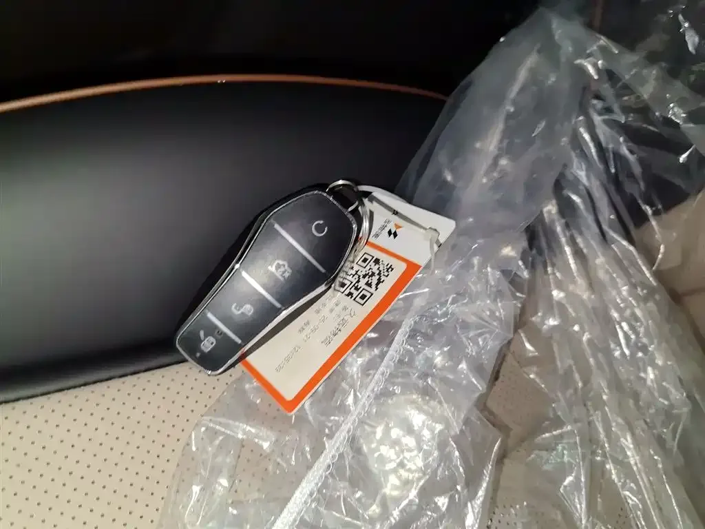 [object Object] Dolphin 2025 из CN, фото 9