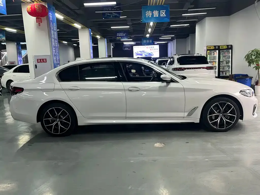 BMW 5 Series 2023 из CN, фото 6