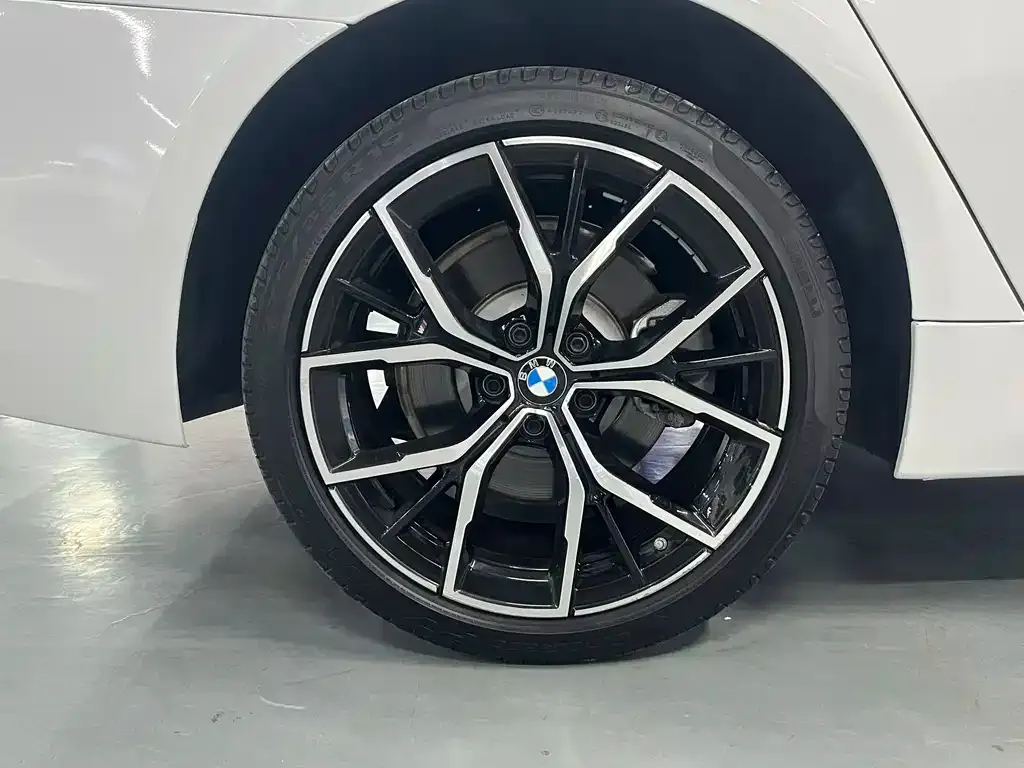 BMW 5 Series 2023 из CN, фото 5