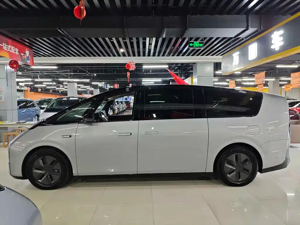 Li Auto MEGA 2024 из CN, фото 7