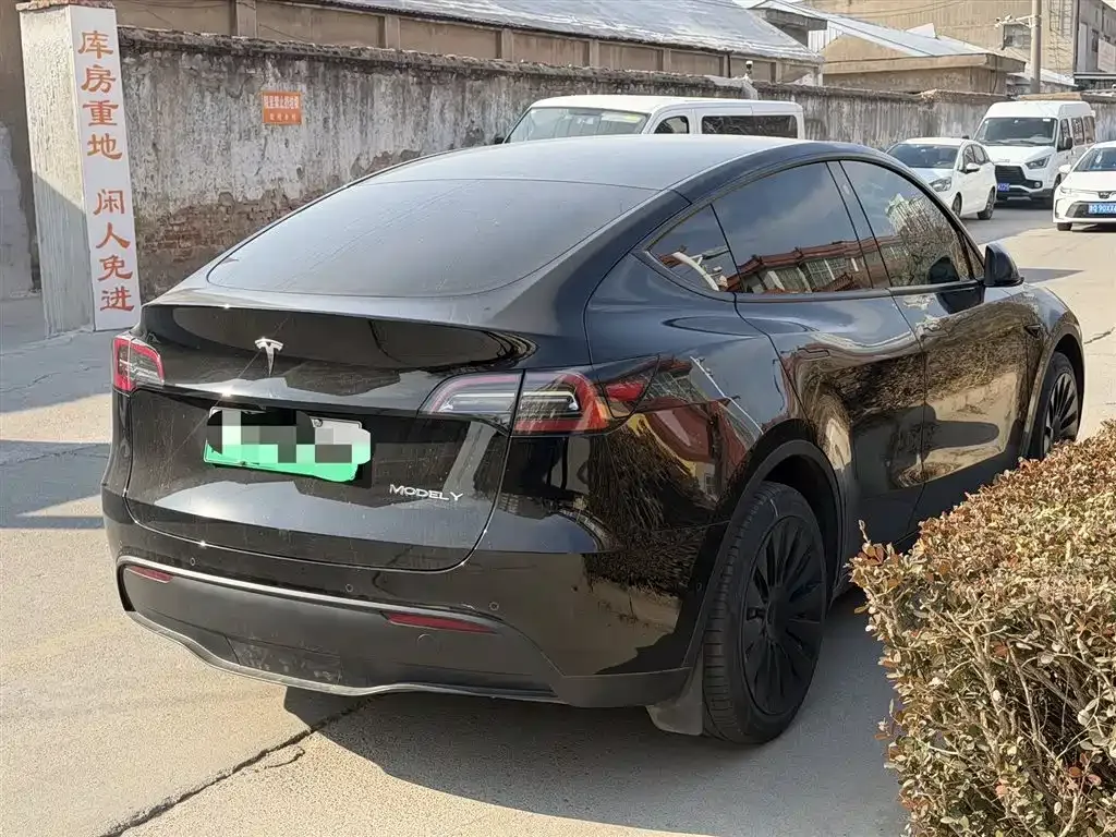 Tesla Model Y — фото 3