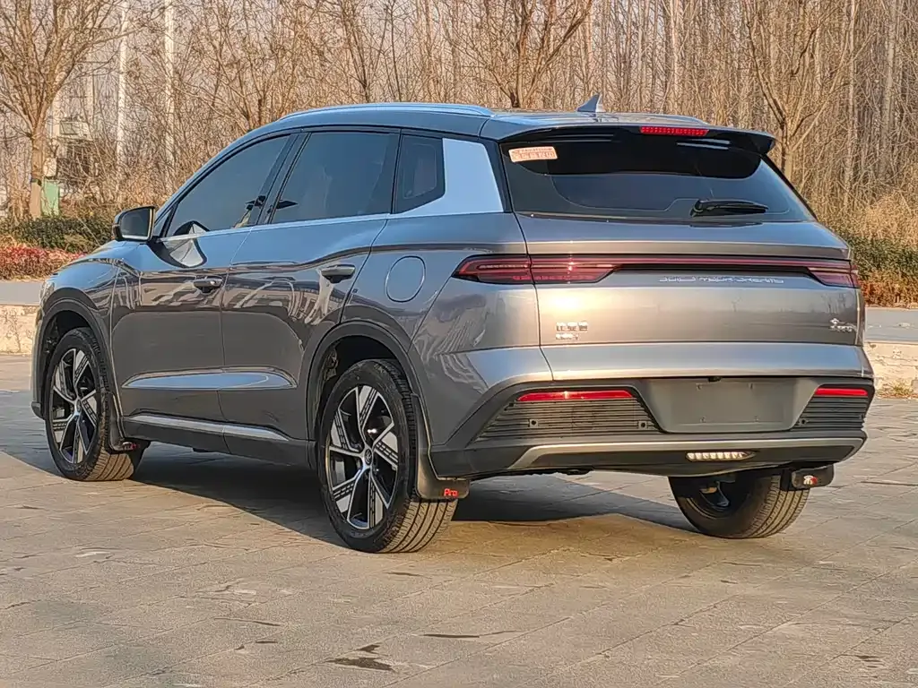 BYD Pro New Energy 2023 из CN, фото 10