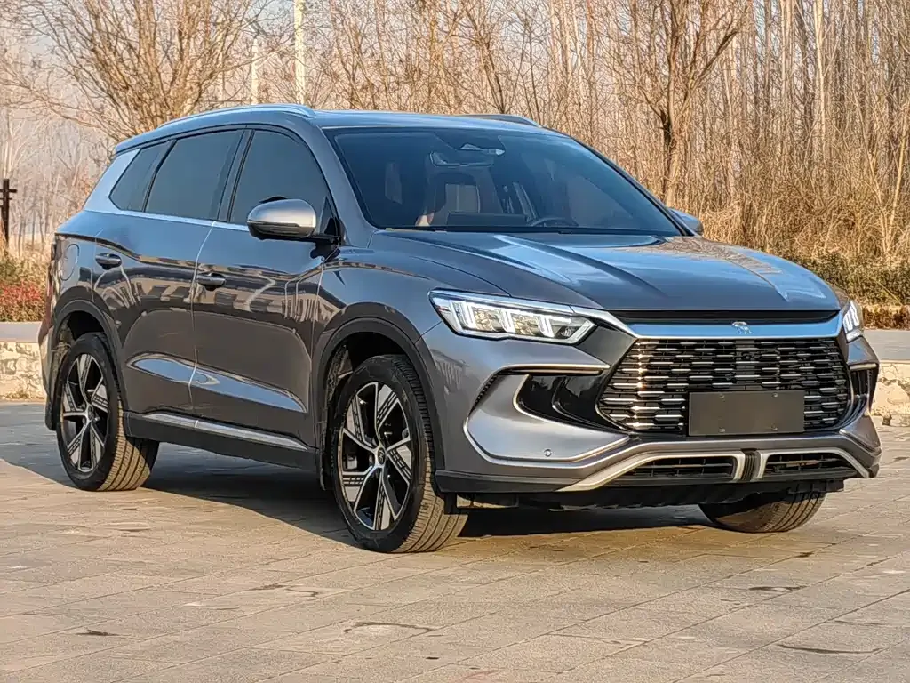 BYD Pro New Energy 2023 из CN, фото 9