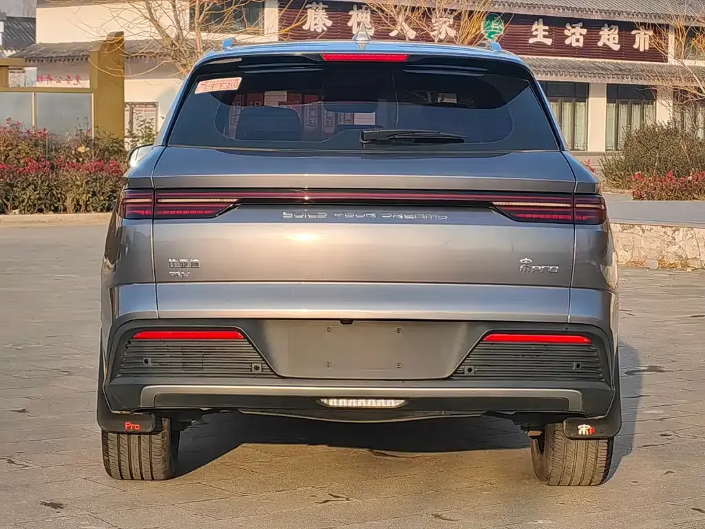 BYD Pro New Energy 2023 из CN, фото 5