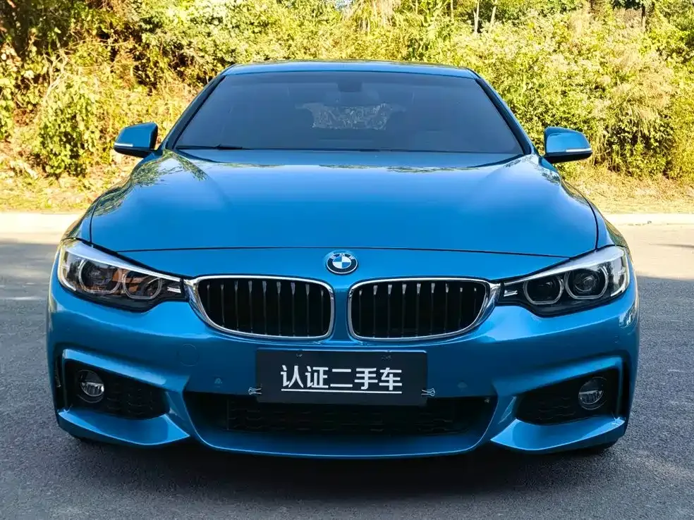 BMW 4 Series 2021 из CN, фото 5