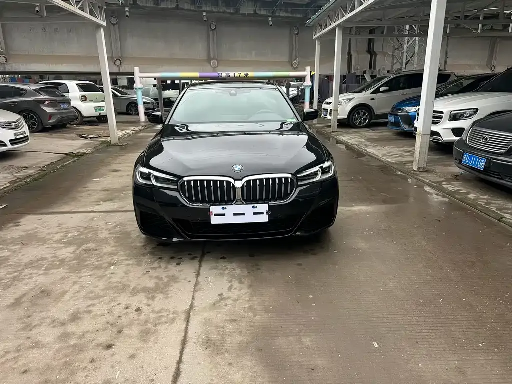 BMW 5 Series 2023 из CN, фото 2
