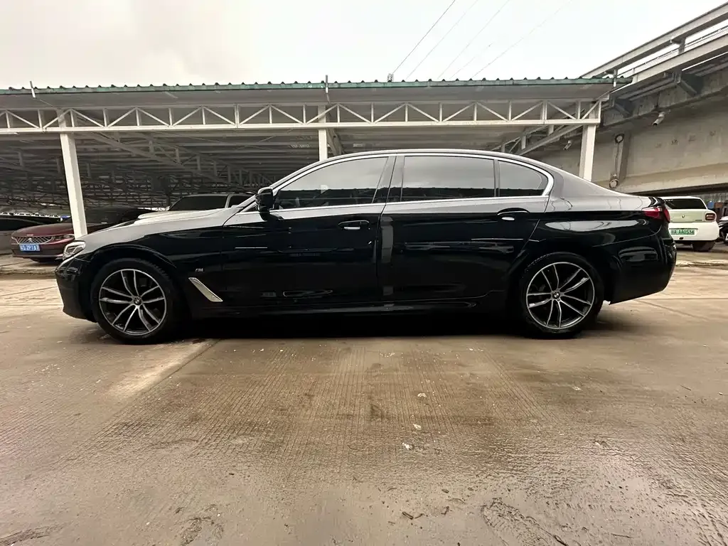 BMW 5 Series 2023 из CN, фото 4