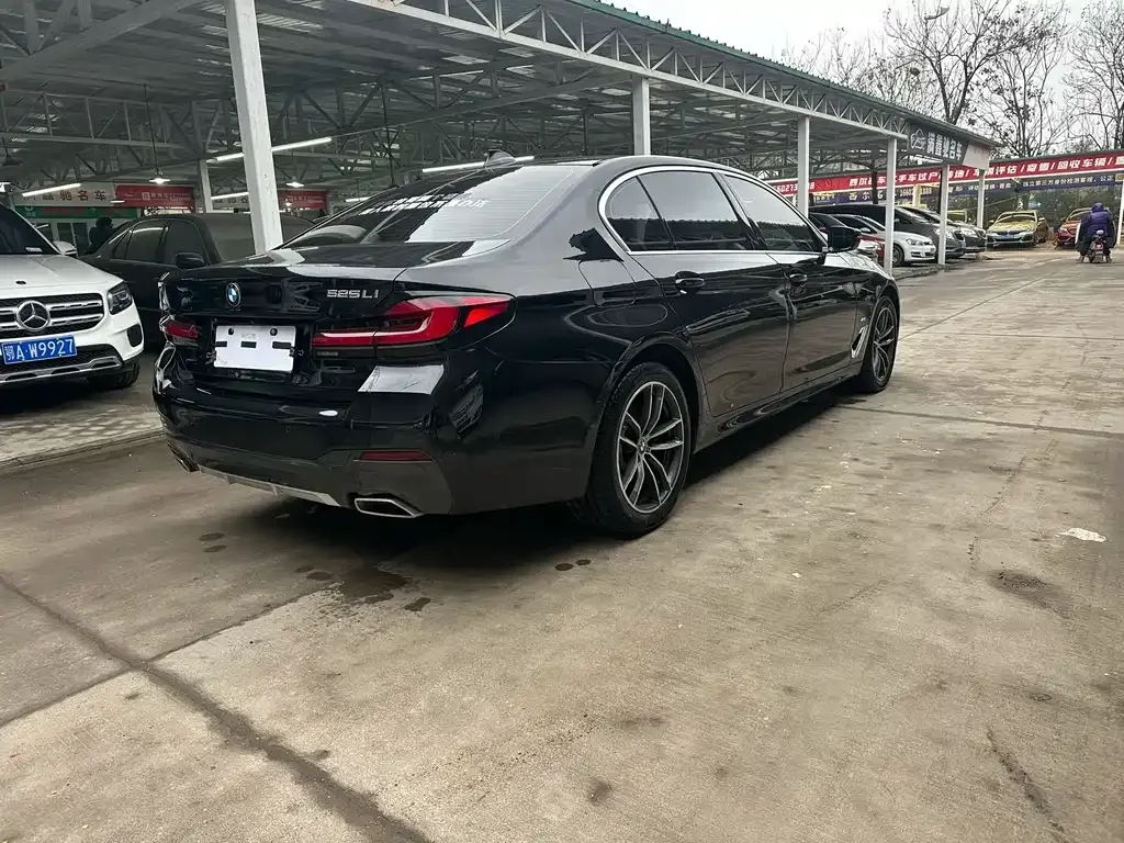 BMW 5 Series 2023 из CN, фото 7