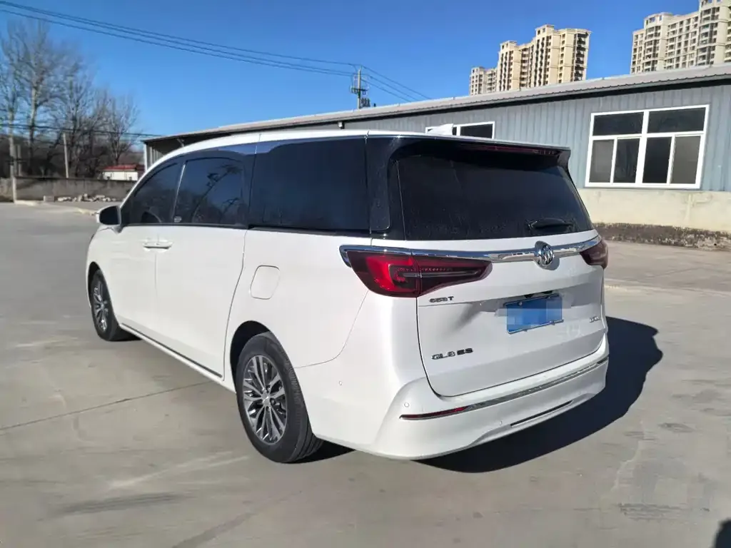 Buick GL8 2023 из CN, фото 7